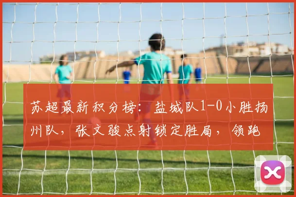 苏超最新积分榜：盐城队1-0小胜扬州队，张文骏点射锁定胜局，领跑优势稳固